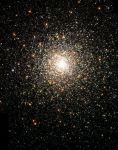Rete di stelle