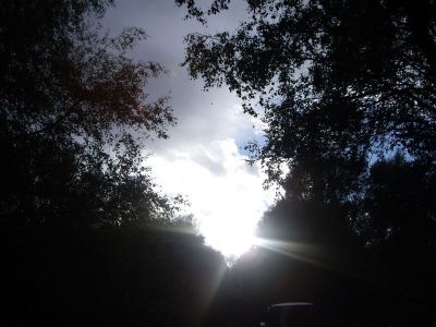 Luna autunnale