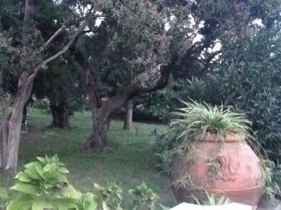 Villa Aulina