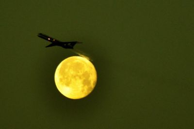 Ricerca di una stella