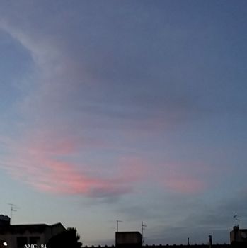 Inchiostro di rose