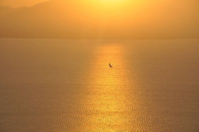 Tu eri il sole