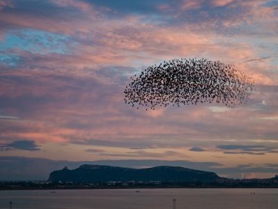 Bambina dai capelli d�argento
