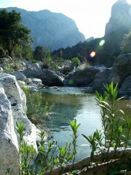 Muto pi� del silenzio