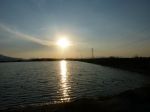 Aspetter� l�alba