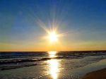 La libert�