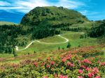 L� m'incanto