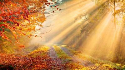 Mattini d�autunno