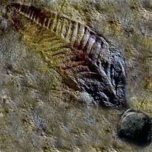 Pietra