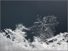 Neve