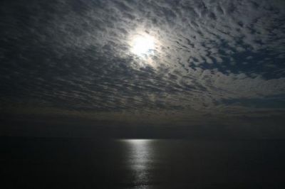 Mare  