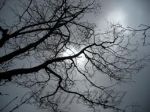 Eppure verr� primavera