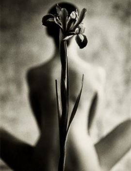 Fiore d�amore