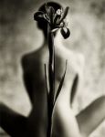 Fiore d�amore