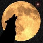 Declama la luna