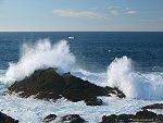 Come sirena