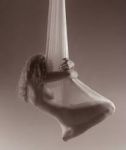Prova