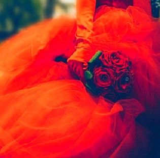 Rosa senza et�