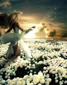I sogni