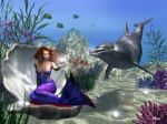 Suoni dall'aldil�