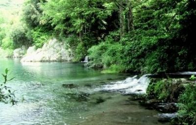 Dolce natura  