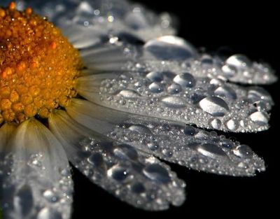 Natura