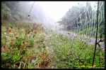 Ricami d�autunno
