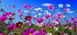 L�attesa stagione