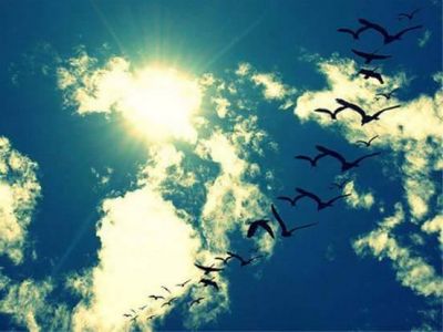Il coro dell�alba