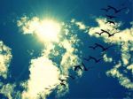 Il coro dell�alba