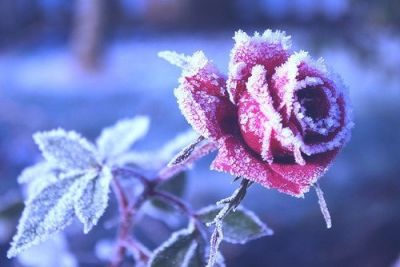 Giorni d�inverno