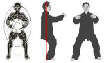 Qi gong- abbracciare l�albero
