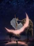 Ecco il sogno - ecco l�avventura