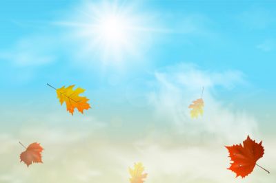 Foglie d�autunno