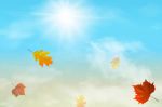 Foglie d�autunno