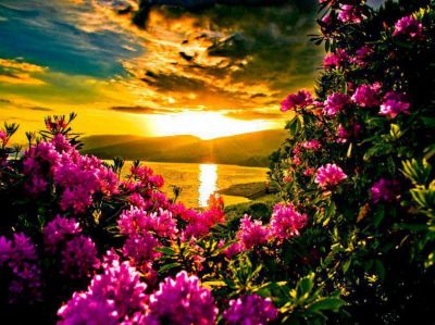 L�alba dopo il tramonto