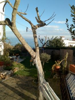 Oggi