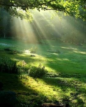 Una terra promessa