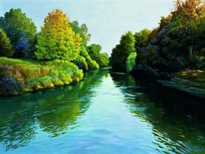 Nel dove che non c'�