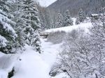 Neve