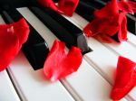 � Musica