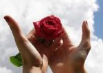 E' cos� che t'amo