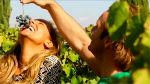 Sapore di vita (nell'Amor ti cercai)