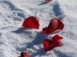 Il mio amore sar� passo lieve