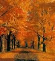 Viali d'Autunno