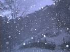 Come la neve