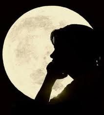 Amica notte