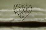 Parole d'amore... in volo