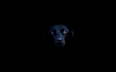 � nera la notte