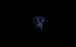 � nera la notte